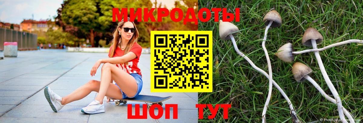 Псилоцибиновые грибы MAGIC MUSHROOMS Буйнакск