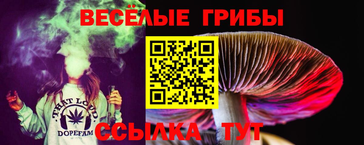 Буйнакск  Псилоцибиновые грибы прущие грибы  Псилоцибиновые грибы прущие грибы  Вход с VPN 